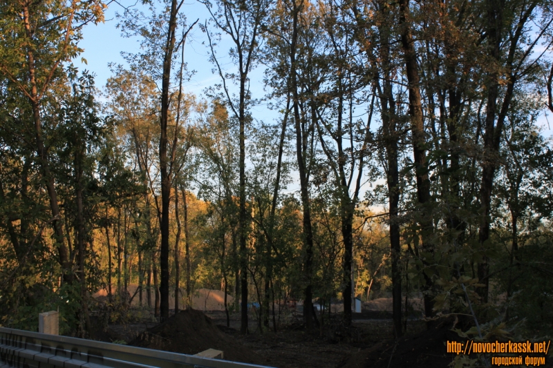 Новочеркасск: Строительство детского сада в роще