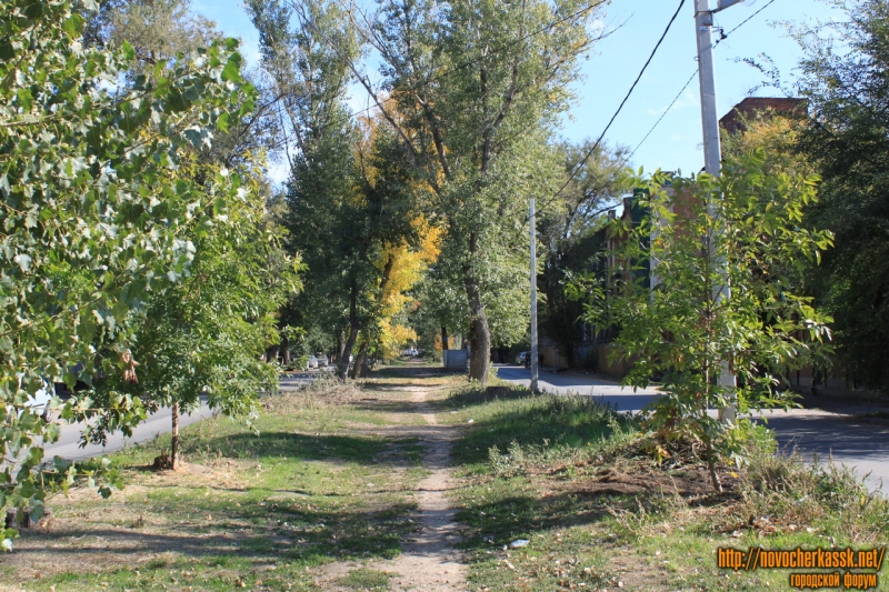Новочеркасск: Аллея на улице Комитетской