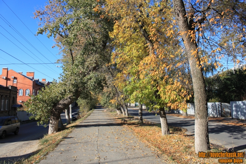 Новочеркасск: Аллея на улице Александровской