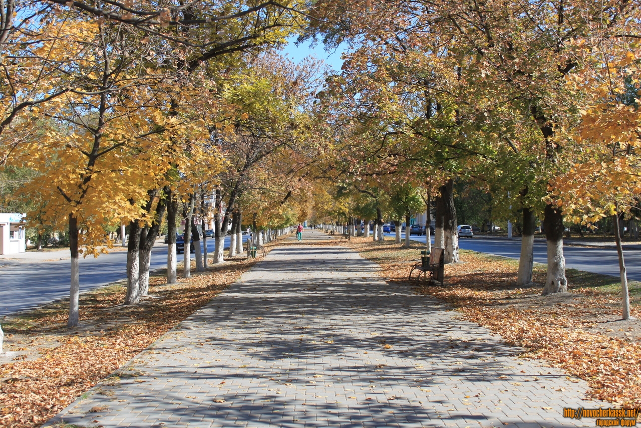 Погода в г новочеркасске. Новочеркасск аллея. Осенний Новочеркасск. Сквер Аверкиева Новочеркасск. Новочеркасск осенью.