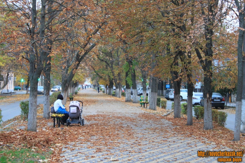 Новочеркасск: Аллея на улице Атаманской