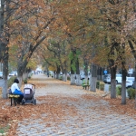 Аллея на улице Атаманской