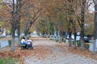 Аллея на улице Атаманской