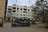Новостройка на улице Михайловской, 171. Вид с улицы Троицкой