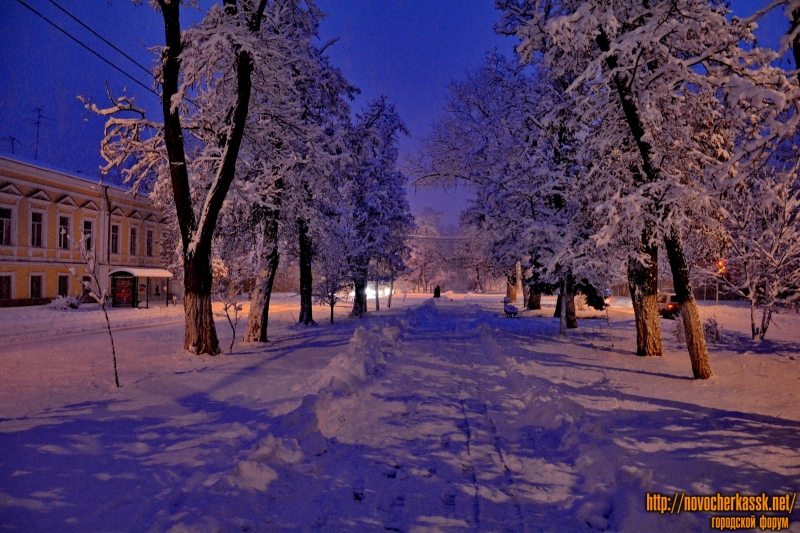 Новочеркасск: Аллея на проспекте Ермака