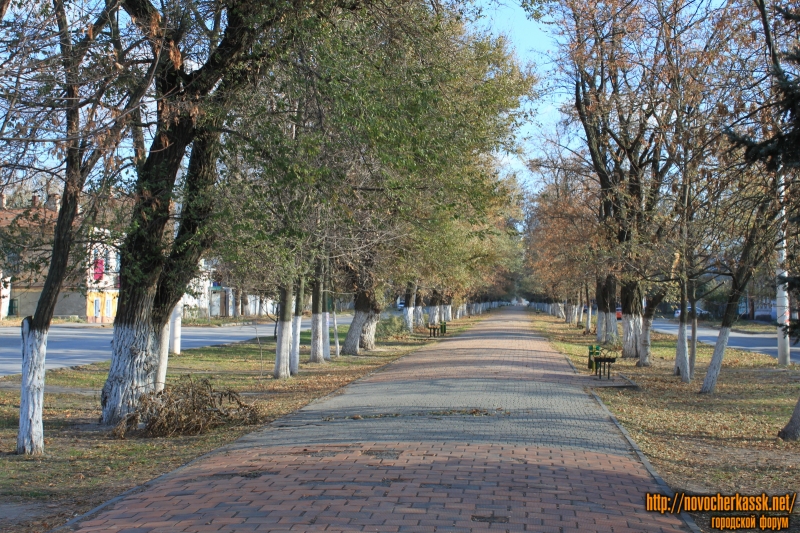 Новочеркасск: Аллея на проспекте Ермака