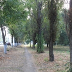 Дорожка вдоль проспекта Баклановского