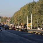 Проспект Баклановский вдоль рощи