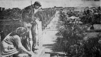 Строительство дома для рабочих завода горнобурового оборудования. 1954 год. Панорама Московской