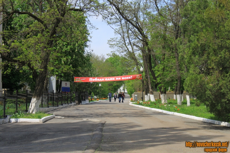 Новочеркасск: Аллея на территории ЮРГПУ (НПИ)