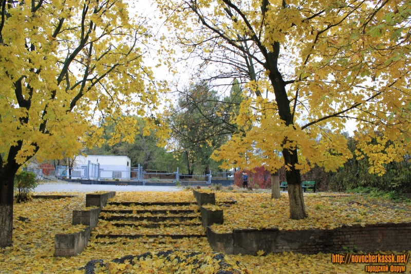 Новочеркасск: Осень в Александровском парке