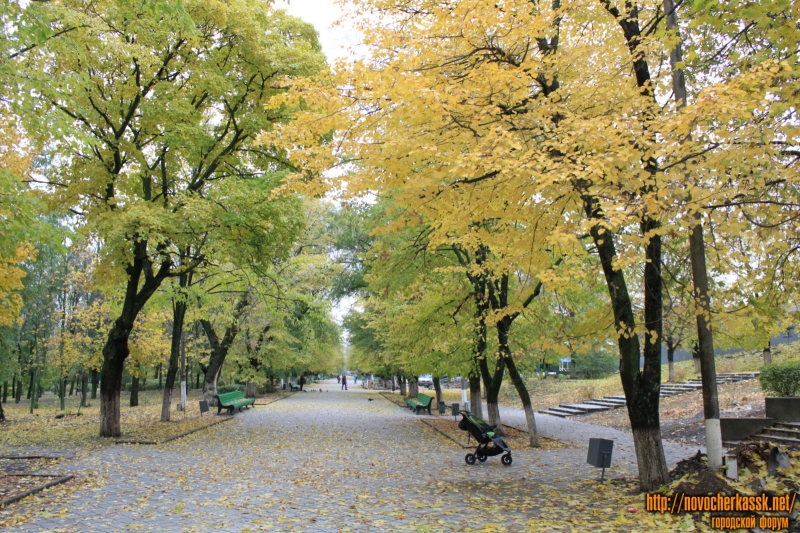 Новочеркасск: Осень в Александровском парке