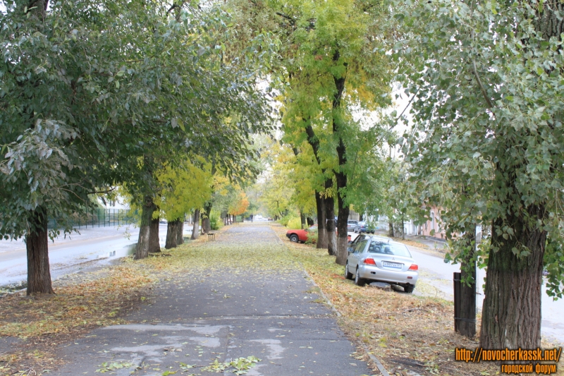 Новочеркасск: Аллея на улице Александровской