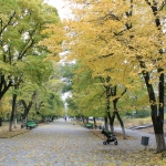 Осень в Александровском парке