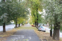 Аллея на улице Александровской
