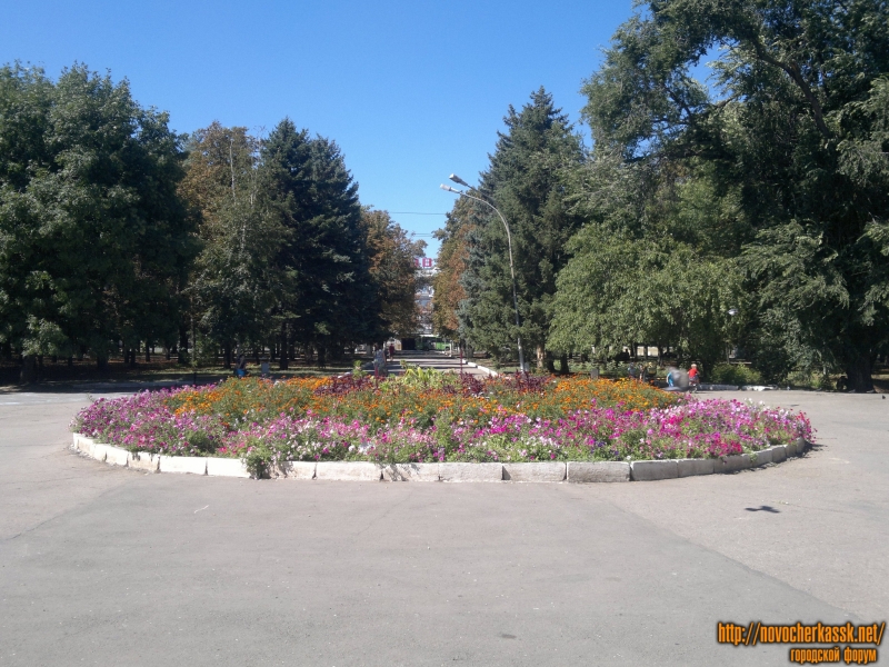 Новочеркасск: Цветочная клумба парка ДК НЭВЗ