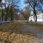 Осенняя аллея Баклановского проспекта