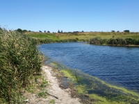 Река Тузлов у посёлка Новосёловка