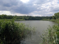 Второй Новочеркасский пруд