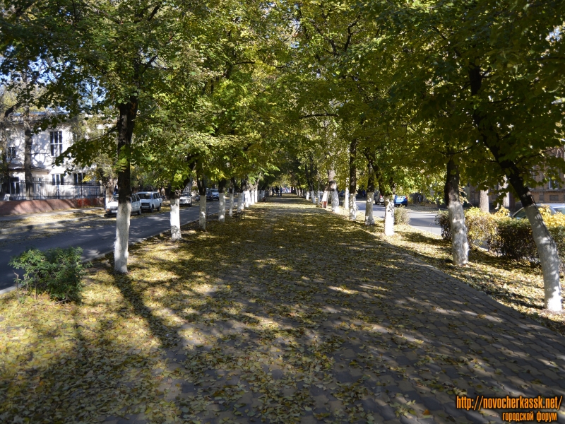 Новочеркасск: Аллея улицы Просвещения