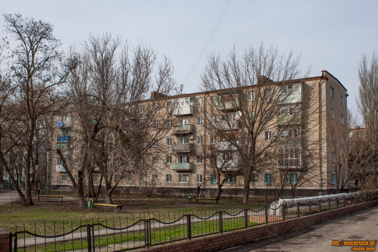 Звезда баклановский просп 74а фото