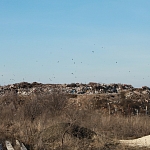 Городская свалка