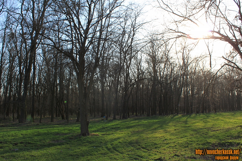 Новочеркасск: Роща «Красная весна»