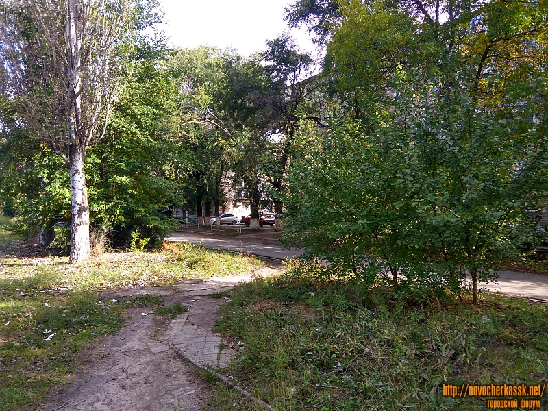 Новочеркасск: Аллея на улице Чехова