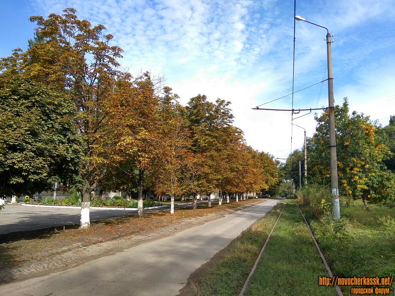 Новочеркасск: Улица Чехова