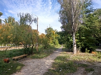 Аллея на улице Чехова