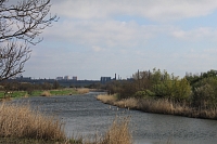 Река Тузлов