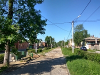 Спиленные деревья на улице Просвещения