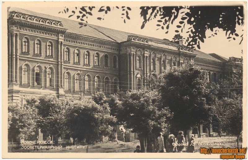 Новочеркасск: Зооветеринарный институт  (открытка напечатана в 1961 году)