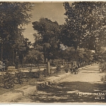 Боковая аллея городского сада (возможно - 1928 год)