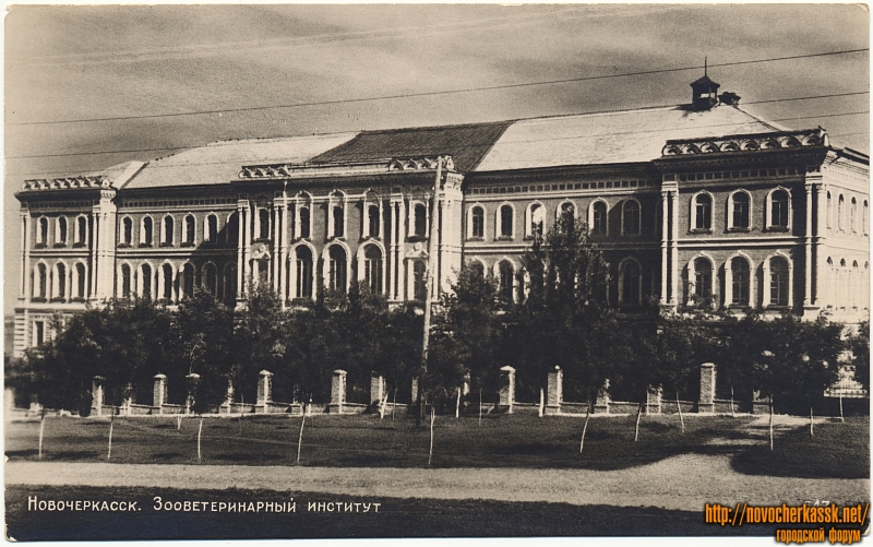 Новочеркасск: Зооветеринарный институт