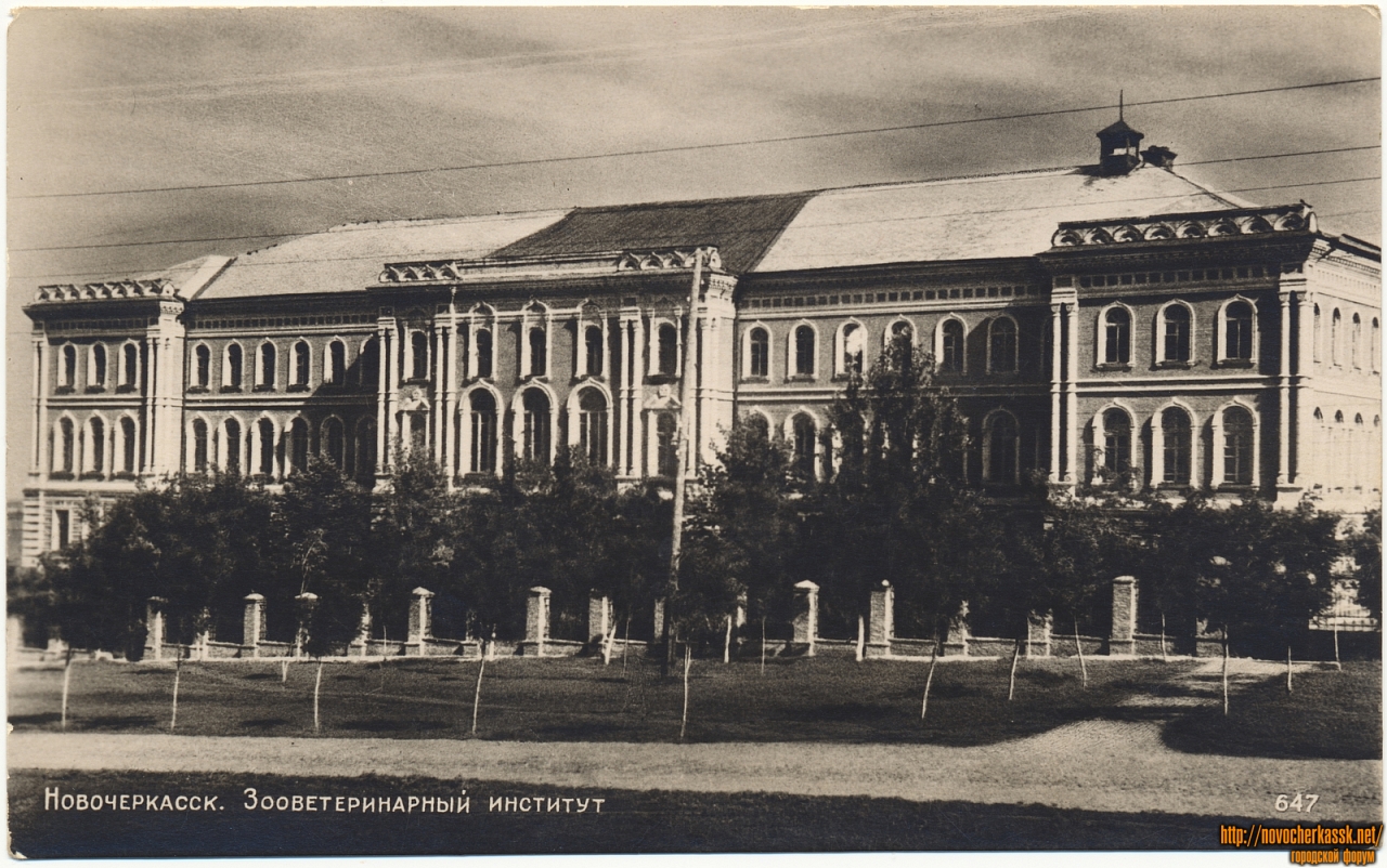 Новочеркасск: Зооветеринарный институт