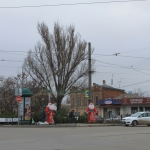 Продажа ёлок на проспекте Баклановском