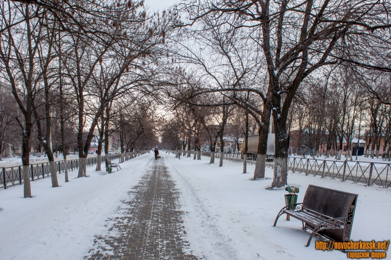 Новочеркасск: Аллея на проспекте Баклановском