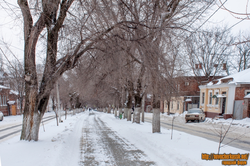 Новочеркасск: Аллея на улице Пушкинской