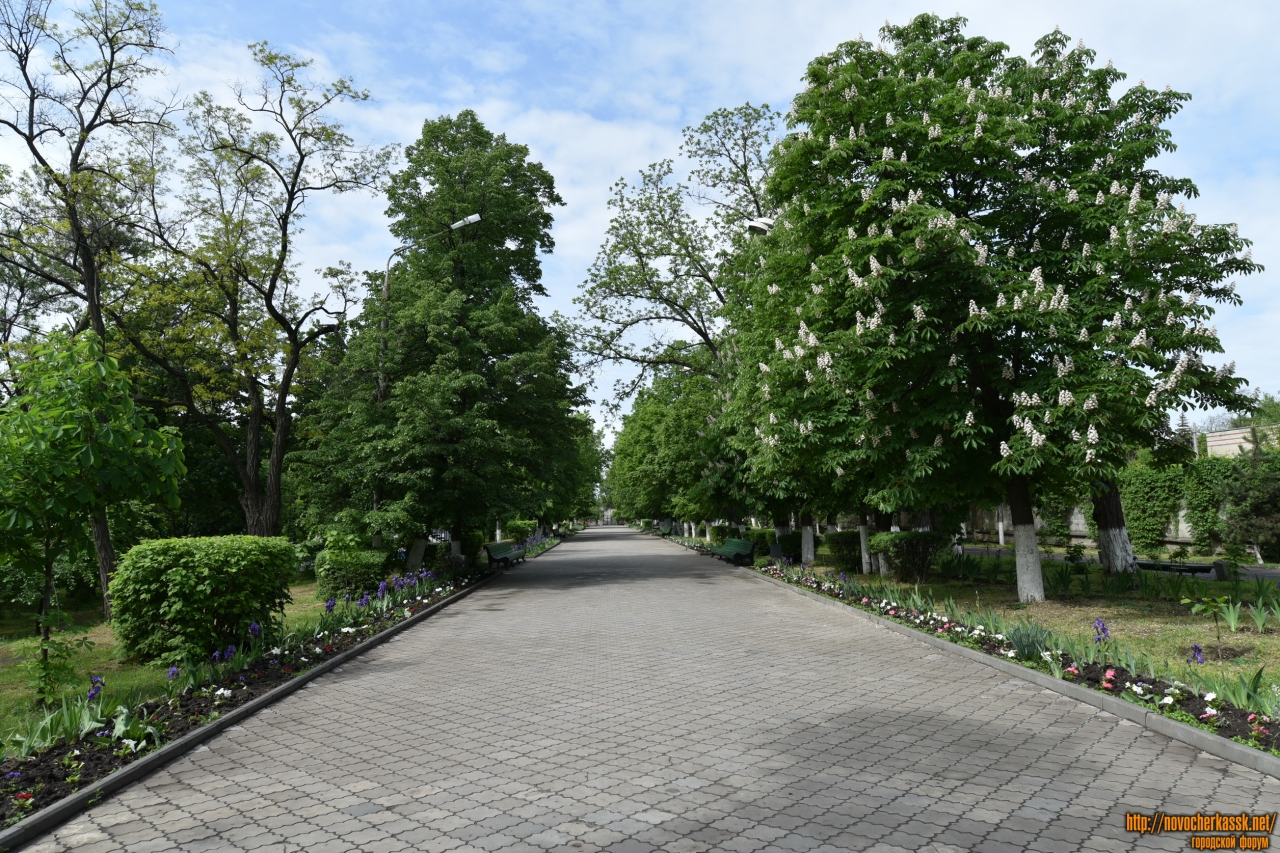 Парки в новочеркасске