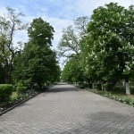 Аллея Александровского сада