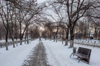 Аллея на проспекте Баклановском