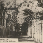Выход из городского парка в сторону Атаманского дворца. 1954 год