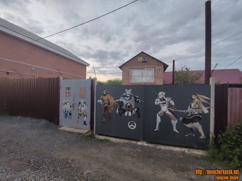 Новочеркасск: Улица Персиковая. Роспись ворот