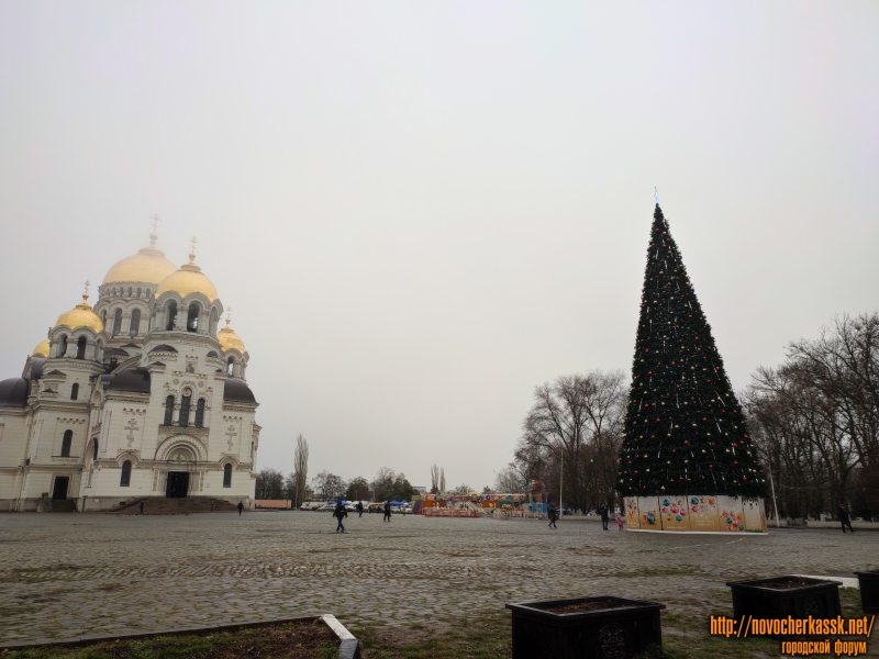 Новочеркасск: Новогодняя ёлка в тумане. Площадь Ермака