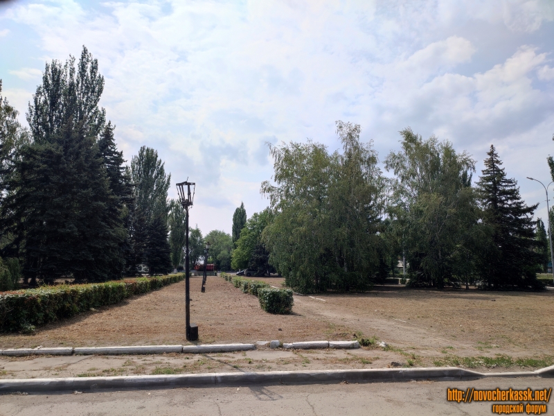 Новочеркасск: Аллея, ведущая от Харьковского шоссе к основному входу в НЗСП