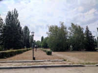 Аллея, ведущая от Харьковского шоссе к основному входу в НЗСП