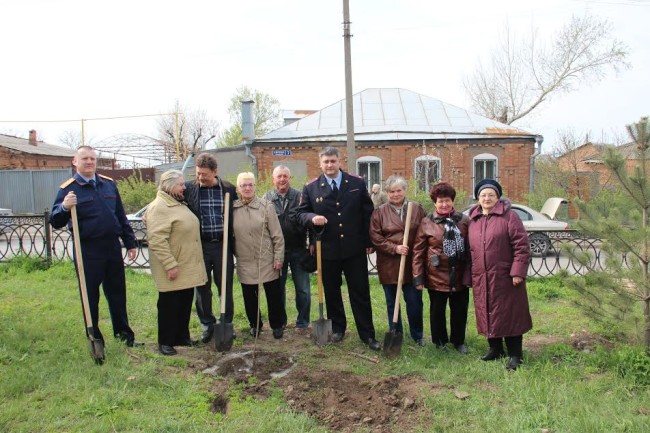 День древонасаждения